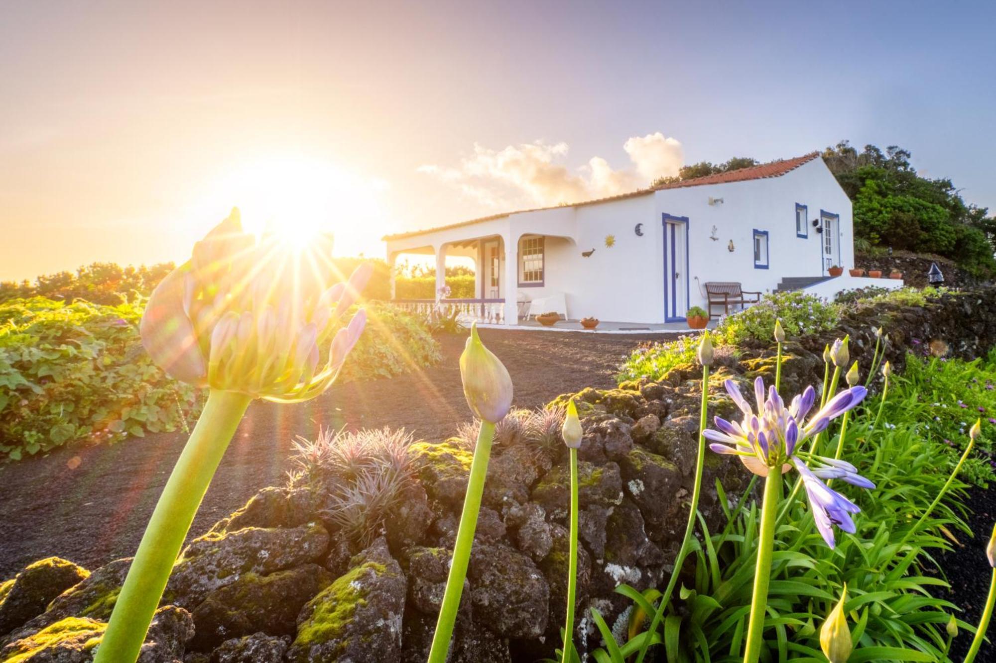 O Zimbreiro Bed & Breakfast Piedade  Exterior photo