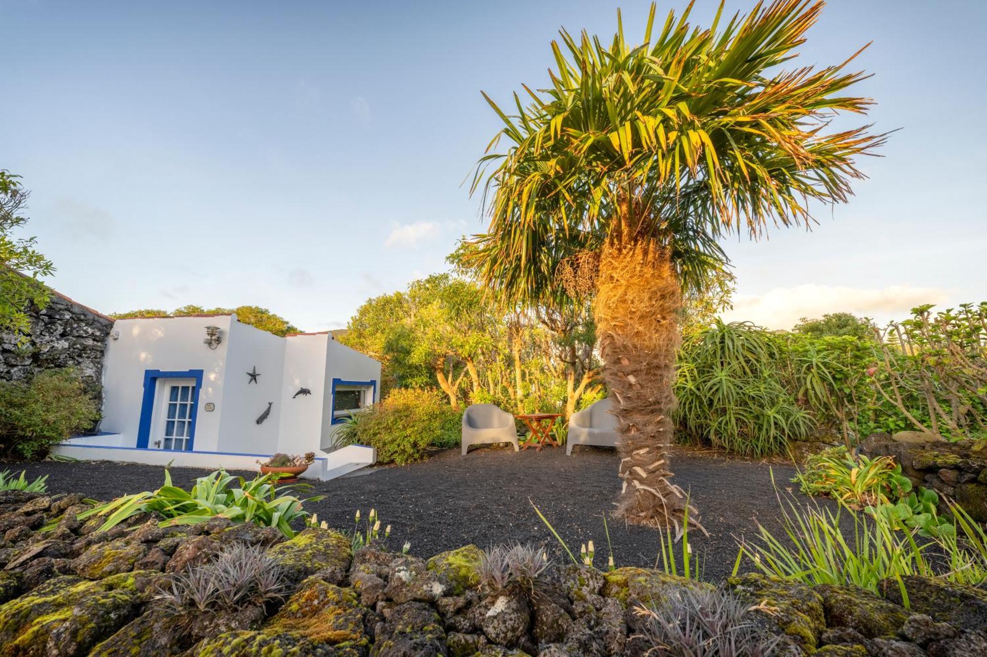 O Zimbreiro Bed & Breakfast Piedade  Exterior photo